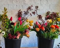 Buckets of seasonal blooms