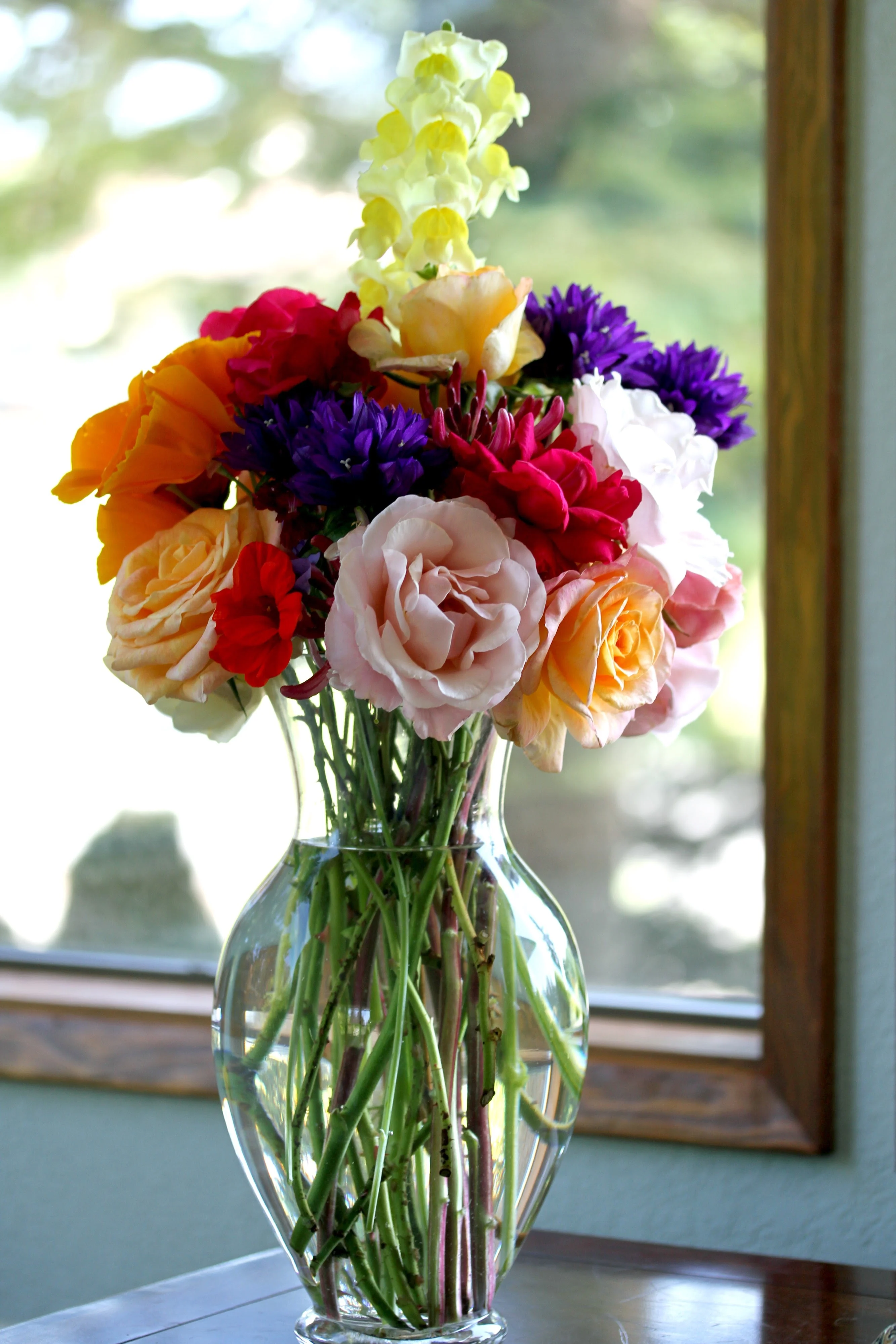Colourful flowers in glass vases